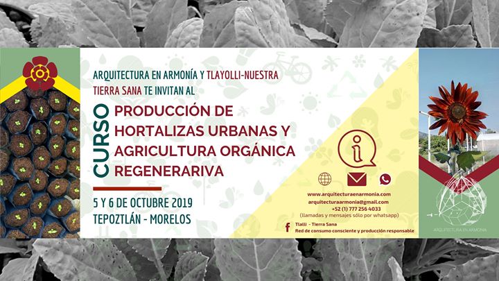Producción de huerto urbano y agricultura orgánica regenerativa